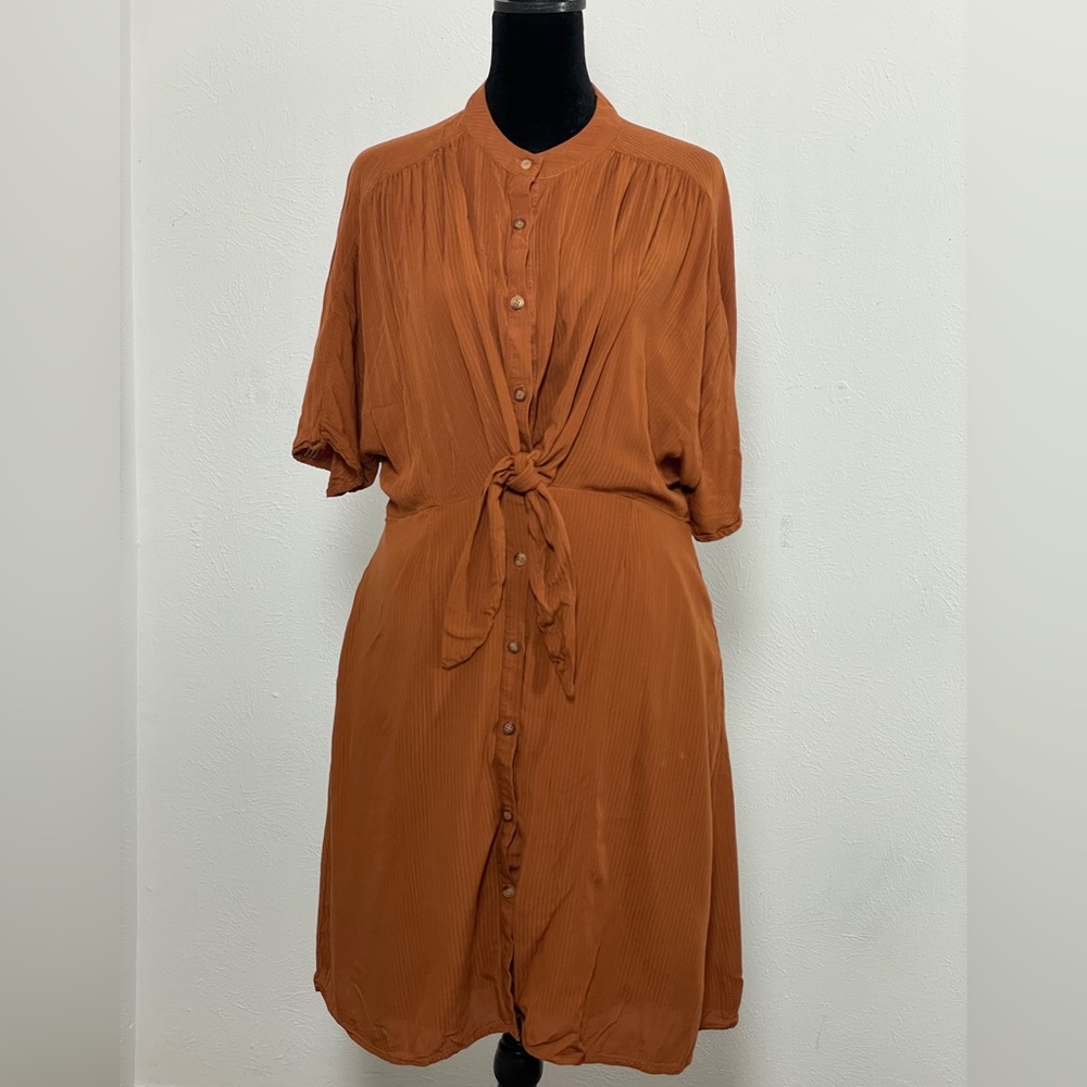 Fashion on Earth Rust-Colored Dress
